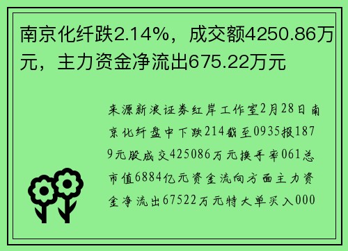 南京化纤跌2.14%，成交额4250.86万元，主力资金净流出675.22万元