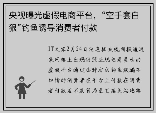 央视曝光虚假电商平台，“空手套白狼”钓鱼诱导消费者付款