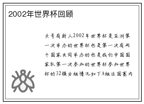 2002年世界杯回顾